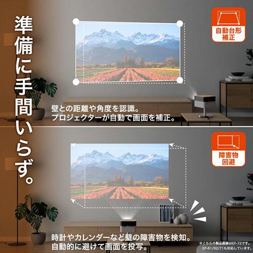 エプソン（EPSON） LIFESTUDIO FLEX Special