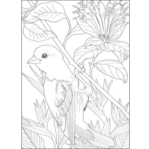 河出書房新社　リラックス塗り絵　ふしぎな花園　１冊（お取寄せ品) |  | 01