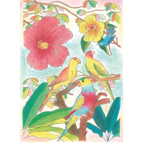 河出書房新社　リラックス塗り絵　ふしぎな花園　１冊（お取寄せ品) |  | 02