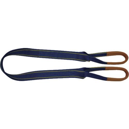 東レインターナショナル　シグナルスリングＨＧ　両端アイ形　幅２５０ｍｍ　長さ４．５ｍ　ＳＧ４Ｅ２５０−４．５　１本 （メーカー直送） 東レインターナショナル シグナルスリングHG 両端アイ形 幅25mm 長さ