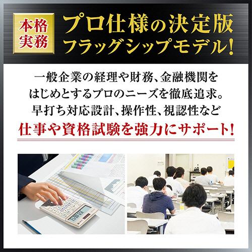 CASIO カシオ 本格実務電卓 時間計算 12桁 デスクタイプ DS CASIO カシオ 本格実務電卓 時間計算 12桁 デスクタイプ DS