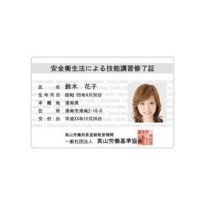 プラスチックカード　厚口　ピュアホワイト　両面　角丸　２８５８Ｖ４２８　１箱（２５０枚）（お取寄せ品)_2