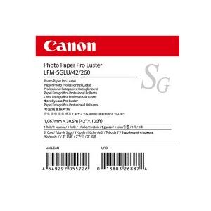 写真用紙　微粒面光沢　ラスター　２６０ｇ　ＬＦＭ−ＳＧＬＵ／４２／２６０　４２インチ１０６７ｍｍ×３０.５ｍ　１１０８Ｃ００１　１本（お取寄せ品)_1