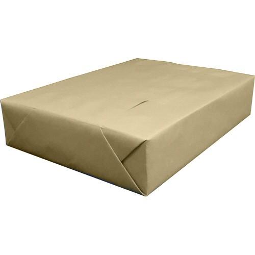 ダイニック シータス CP5102 A4 1ケース（500枚） （直送