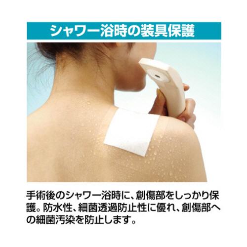 カテリープ　ＦＳロール　２００ｍｍ×１０ｍ　ＣＡＰＦＳ２０１０　１巻 | NICHIBAN | 03