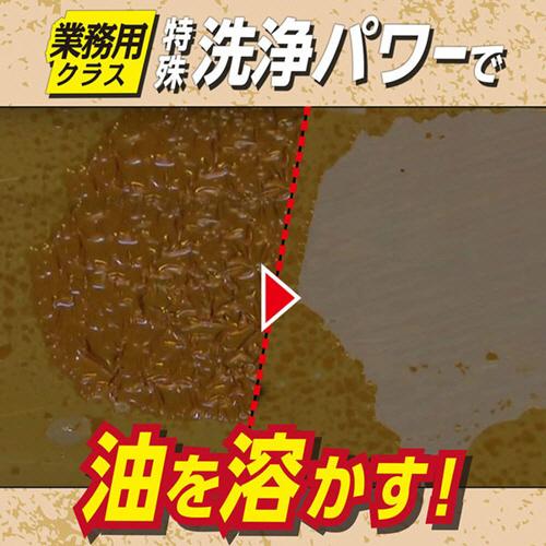 レック　茂木和哉　油汚れ用洗剤　なまはげ　３２０ｍｌ　Ｃ００２５０　１本｜tanomail｜02