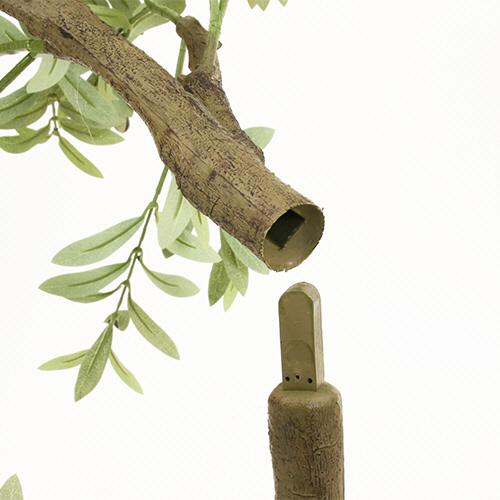 オリーブさま。専用出品です。 直接引取り限定】オリーブの木 植木 木 ガーデニング 観葉植物