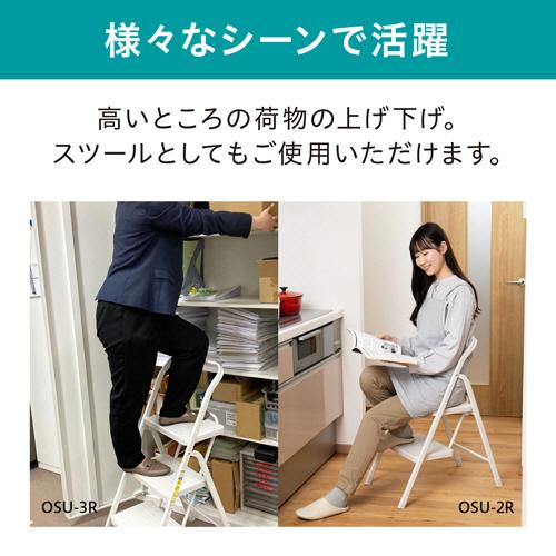 T*i様 斑入りモンステラホワイトタイガー70cm 大型葉 極美株