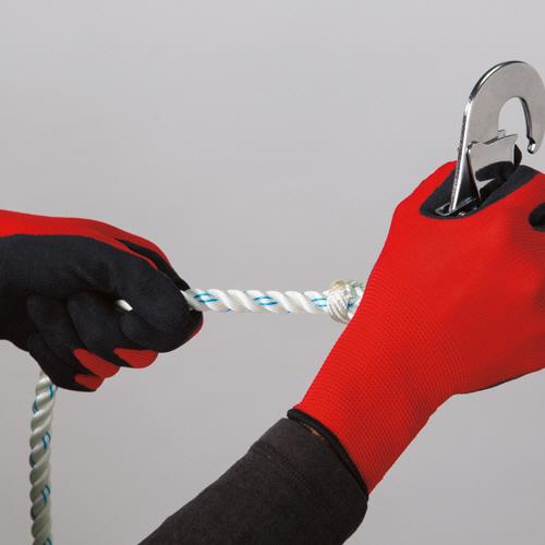 富岳飛翔 森山観月 富岳飛翔 森山観月