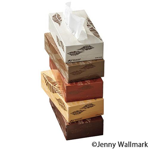 大塚商会 TANOSEE ティッシュペーパー Feathers 200