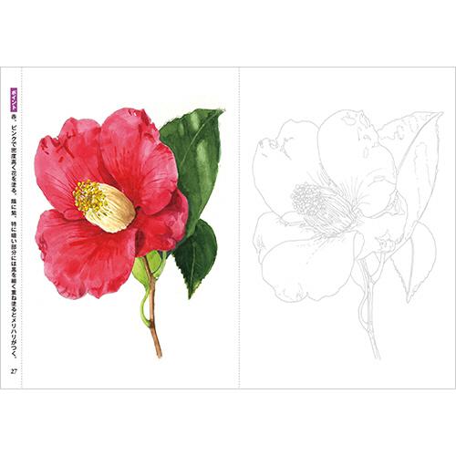 ダイソー 大人のぬりえ ０５１５ 大人の塗り絵 季節の花と実 １セット １０冊 ぱーそなるたのめーる 通販 Paypayモール