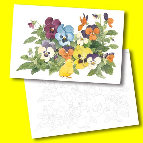 New ダイソー ぬりえ ０８０５ やさしい大人の塗り絵 彩りの花と実 １セット １０冊 Missaoguadalupe Com Br