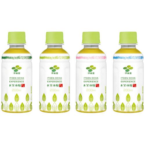 伊藤園（ITO EN） 緑茶 お茶体験 OCHA EXPERIENCE