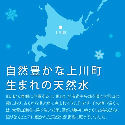 ロジネットジャパン 北海道大雪山ゆきのみず 550ml ペットボトル