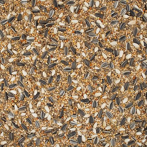 ナチュラルペットフーズ　エクセル　オカメインコ　皮付き　５００ｇ　１セット（３０パック）　（お取寄せ品）_2