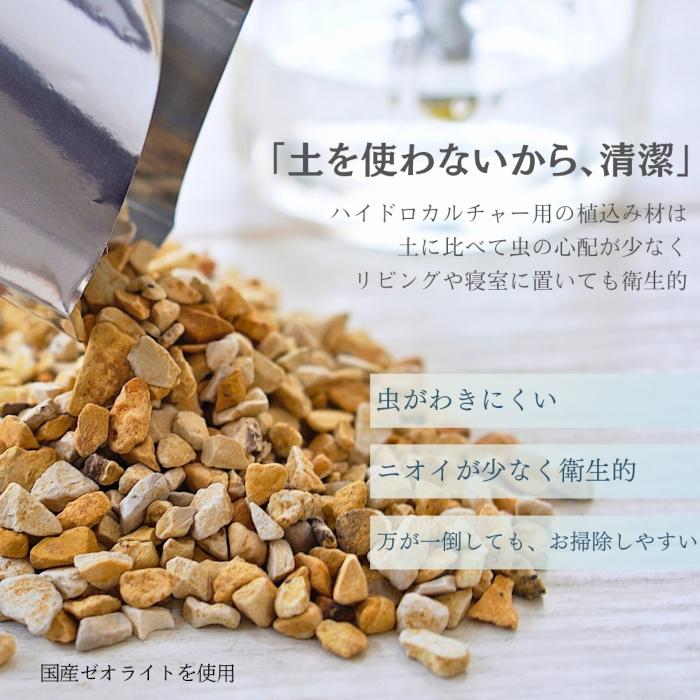 キララ❣️品　vos３点セット　ハイドロ追加 3点セット】観葉植物 ハイドロカルチャー シンプルボール3鉢 セット
