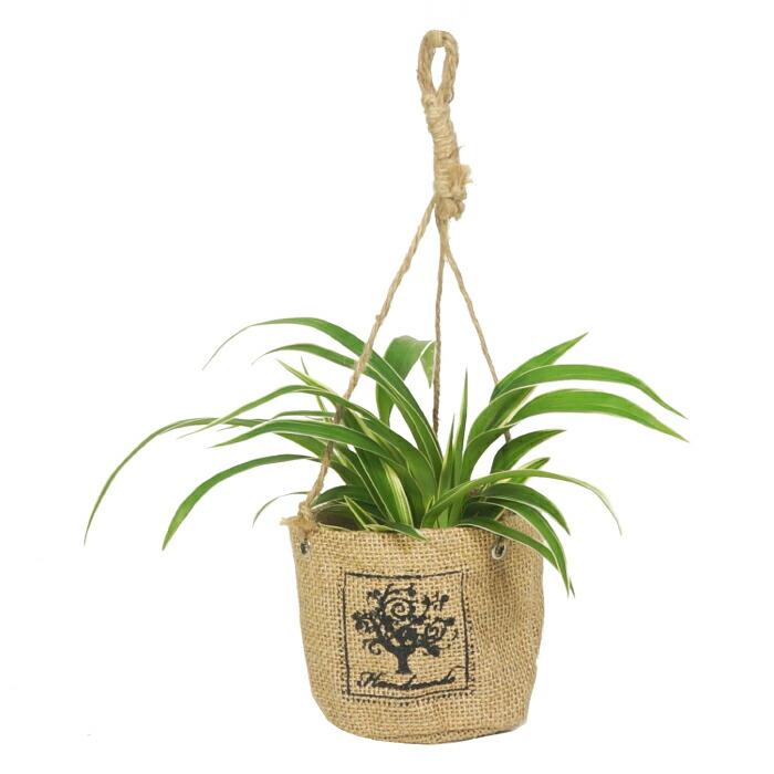 器 ハンギング ジュート バッグ 観葉植物 ハイドロポットm 6パイ 用 Kjb 060 01 タノシミドリ Yahoo 店 通販 Yahoo ショッピング