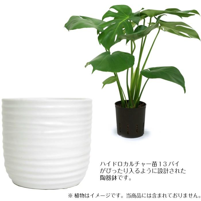 器 ウェーブ130ホワイト ハイドロカルチャー苗13パイ用 観葉植物 Kse Wav130 タノシミドリ Yahoo 店 通販 Yahoo ショッピング