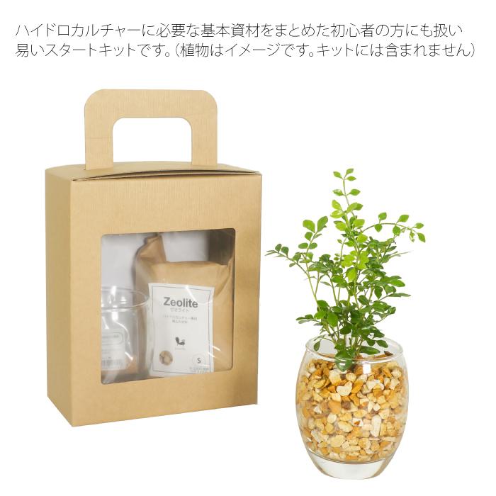 【器】 ハイドロカルチャースタートキット ガラス（Yahoo!・タノシミドリ Yahoo!店）