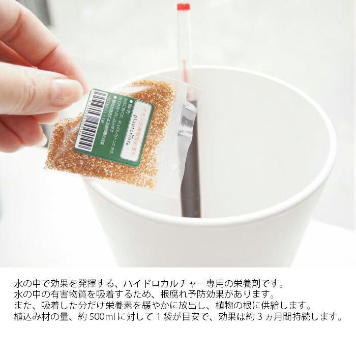 Planterior イオン交換樹脂栄養剤 3個パック 観葉植物 ハイドロ
