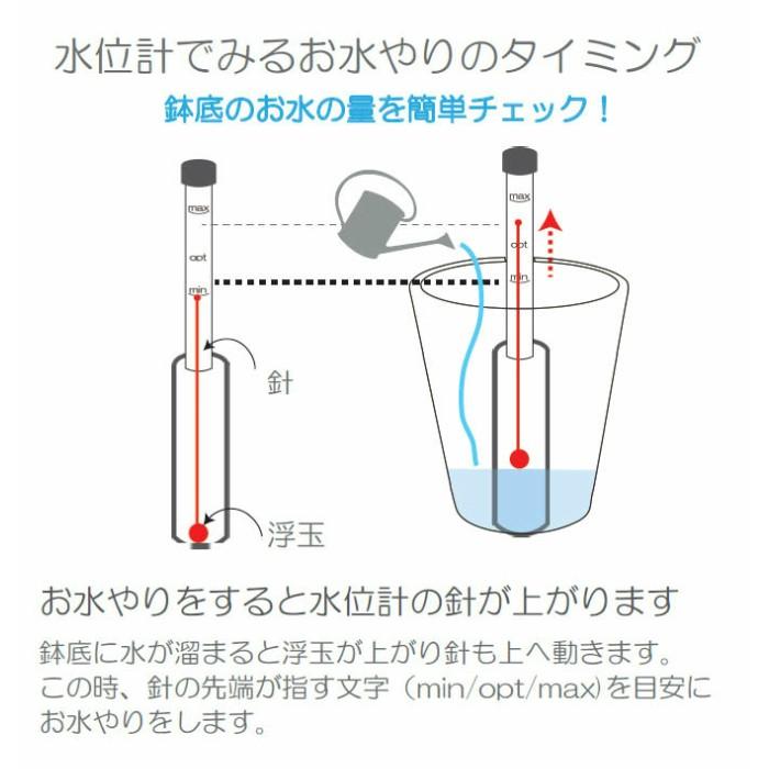 水位計l 観葉植物 ハイドロカルチャー用 Pwsa L18 タノシミドリ Yahoo 店 通販 Yahoo ショッピング