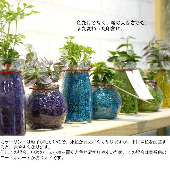 カラーサンド 中粒 130ml 観葉植物 ハイドロカルチャー用 Scs Mb130m タノシミドリ Yahoo 店 通販 Yahoo ショッピング