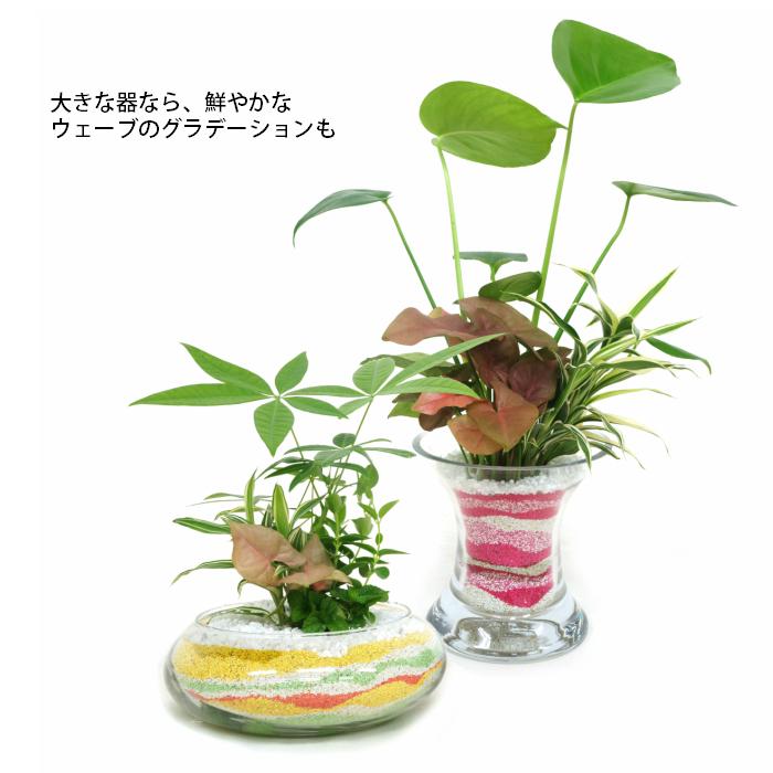 カラーサンド 小粒 130ml 観葉植物 ハイドロカルチャー用｜tanoshimidori｜03