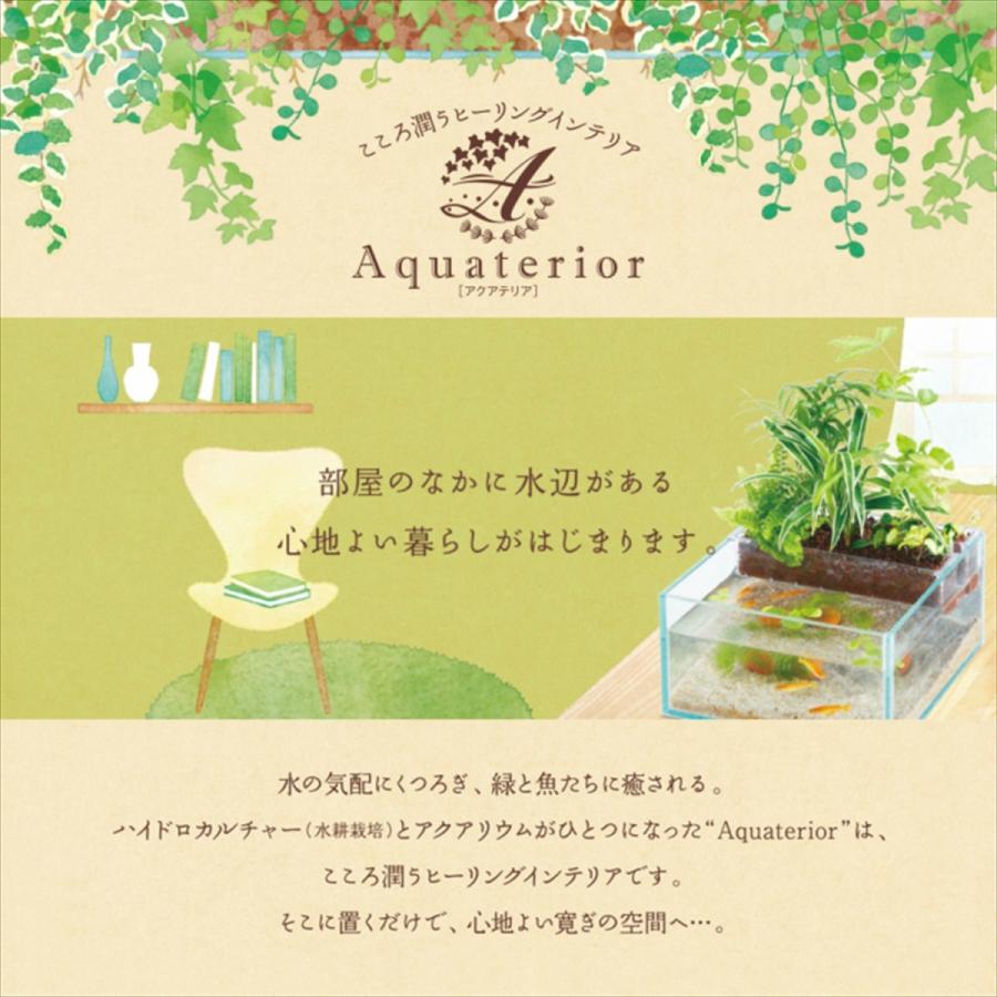 最先端 水作 株 アクアテリア エイトハウスミニ クリームホワイト Globescoffers Com