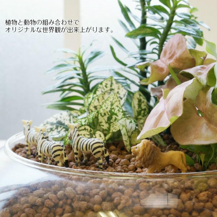 超話題新作 ミニ ライオン ハイドロカルチャー 観葉植物にピッタリ 動物フィギュア Supplystudies Com