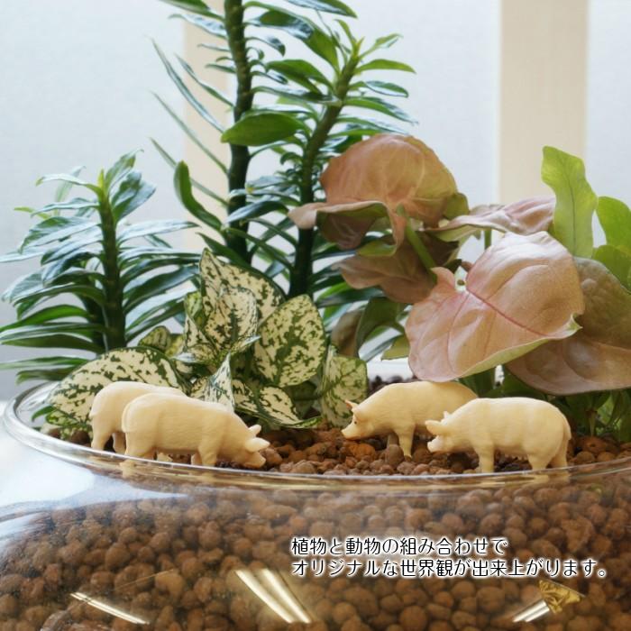 ミニ ぶた ハイドロカルチャー 観葉植物にピッタリ 動物フィギュア Xfi 3477 タノシミドリ Yahoo 店 通販 Yahoo ショッピング