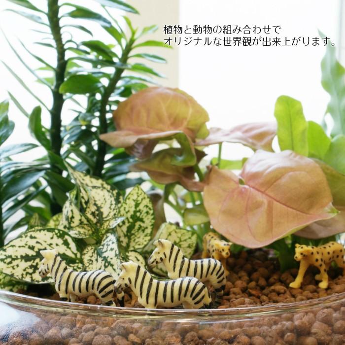 商店 ミニ シマウマ ハイドロカルチャー 観葉植物にピッタリ 動物フィギュア Supplystudies Com