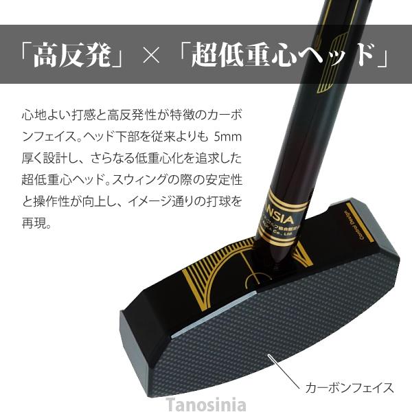 グラウンドゴルフセット 3点セット（クラブ・ボール・ケース各1