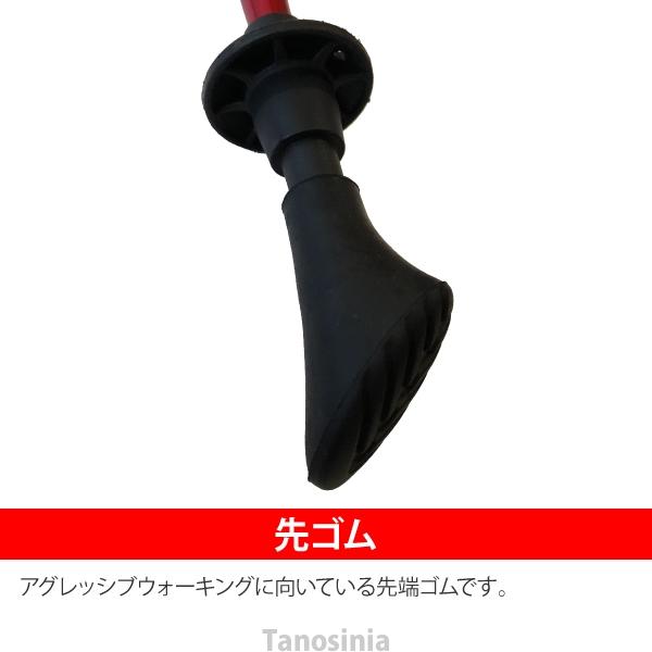 nite ノルディックウォーキング ポール ウォーキングポール 軽量 nite ノルディックウォーキング ポール ウォーキングポール 軽量