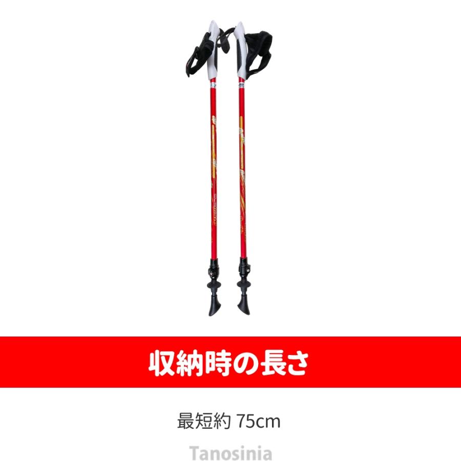 DUNLOPノルディックウォーキングポール nite ウォーキングポール ノルディックウォーキング ポール 男性
