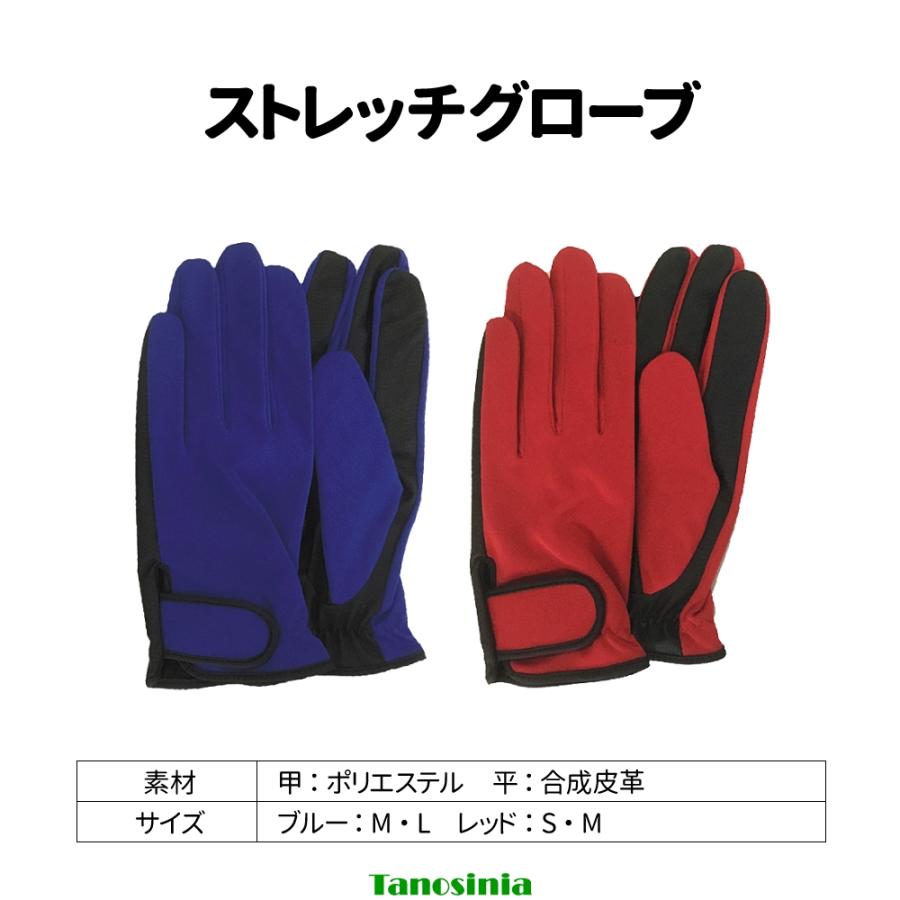 マレットゴルフ用品 用具 道具 マレットゴルフ セット 入門用 初心者 ビギナー スターター クラブ ボール×2 マーカー×2 スコアカード ケース 7点セット