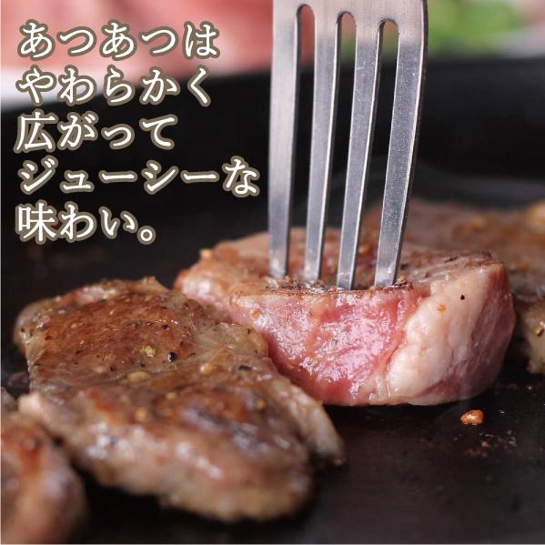 牛ヒレひとくちステーキ １kg（500g×２袋） (BBQ バーベキュー 焼肉 牛肉 ヒレ フィレ)｜tanosimi｜05