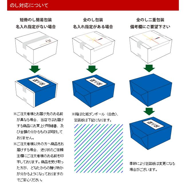 特盛 めっちゃ大阪 串カツセット（10種合計50本+ソース1本）(串揚げ ギフト プレゼントに最適 国内製造 お歳暮)｜tanosimi｜06