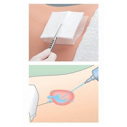 デルマエイド 8号 11985 100枚入 やけど治療 救急絆創膏 : タノシニア