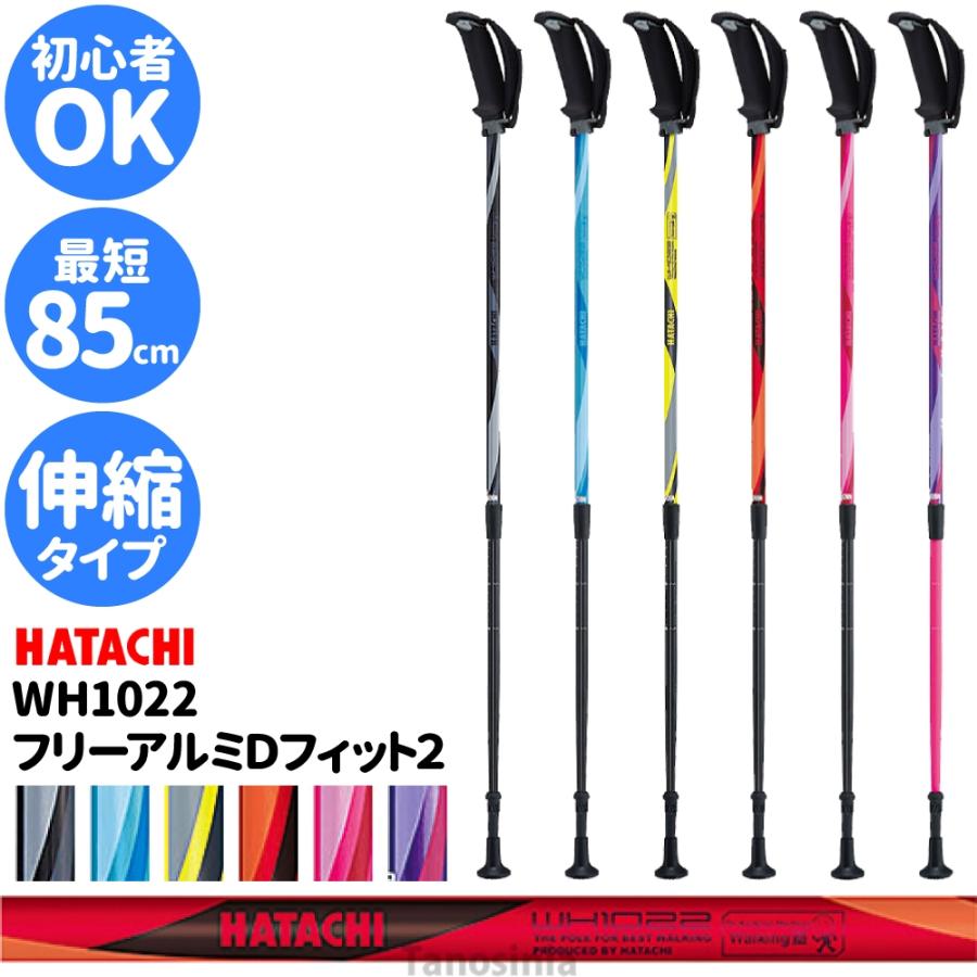 HATACHI（ハタチ） 介護 杖 2本セット ノルディックポール