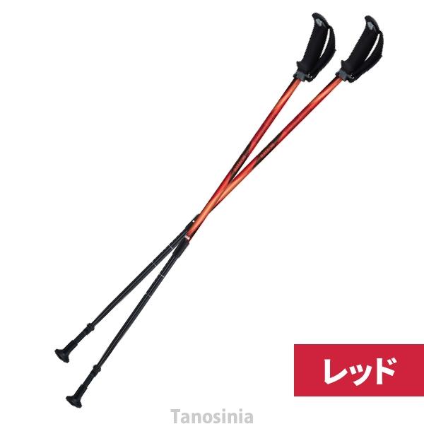 HATACHI（ハタチ） 介護 杖 2本セット ノルディックポール