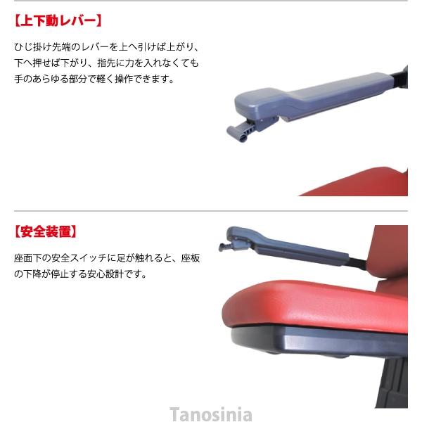 電動昇降椅子介護用 232061.jpg