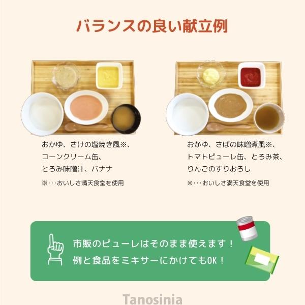 在庫限り 介護食セット マルハニチロ おいしさ満天食堂 アソートセット 区分4 65g×10個 かまなくてよい 70%以上節約 5種×2 在庫限り 介護食セット マルハニチロ おいしさ満天食堂 アソートセット 区分4 65g×10個 かまなくてよい 70%以上節約 5種×2
