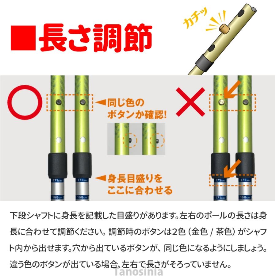 SINANO（シナノ） あんしん2本杖 2本1組 介護 高齢者 杖 ウォーキング