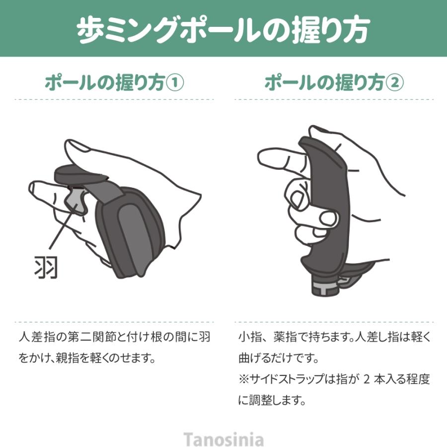 介護 杖 ノルディック 2本 両手 軽量 折りたたみ コンパクト 持ち運び