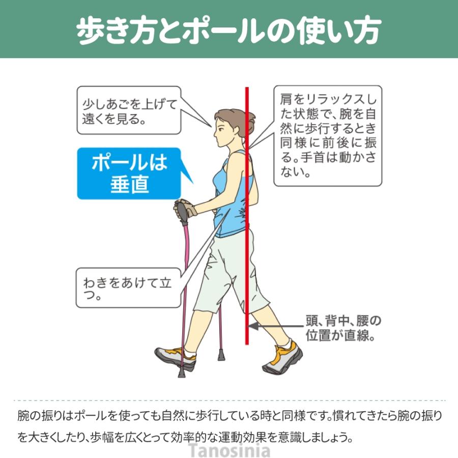 介護 杖 ノルディック 2本 両手 軽量 折りたたみ コンパクト 持ち運び