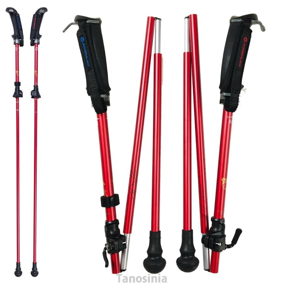 介護 杖 ノルディック 2本 両手 軽量 折りたたみ コンパクト 持ち運び