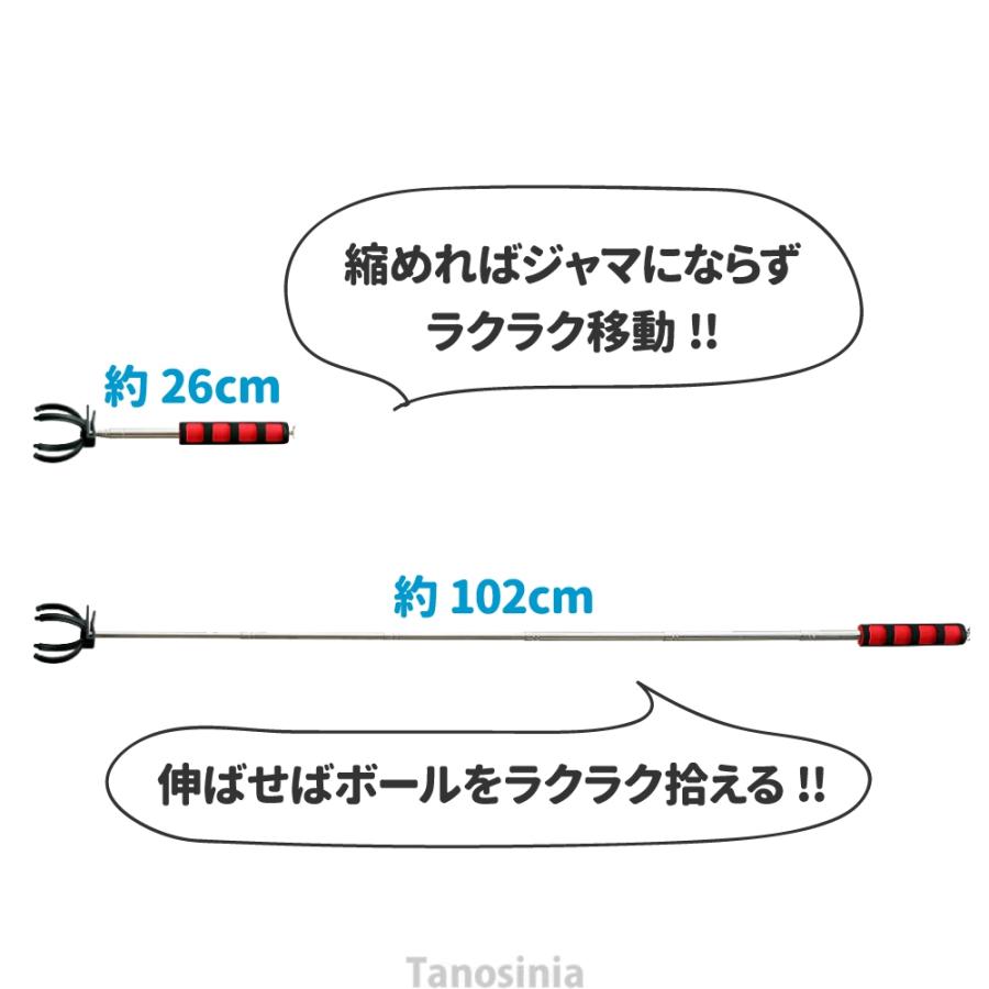 ニチヨー（NICHIYO） グラウンドゴルフ グランドゴルフ 用品 道具 立っ