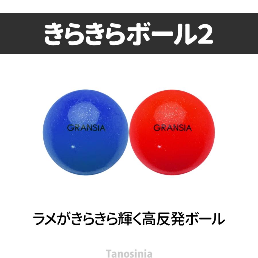 グラウンドゴルフ用品 用具 道具 グラウンドゴルフ グランドゴルフ