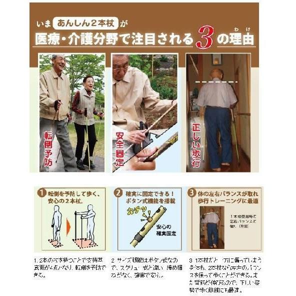 シナノ 高齢者向けポール 伸縮 そふと安心二本杖 2本組 あんしん二本杖 ポールウォーキング シニア 歩行 リハビリ 運動 トレーニング ステッキ 日本製 Ue350187 介護用品 福祉用具 健康スポーツ用品のタノシニア 通販 Yahoo ショッピング