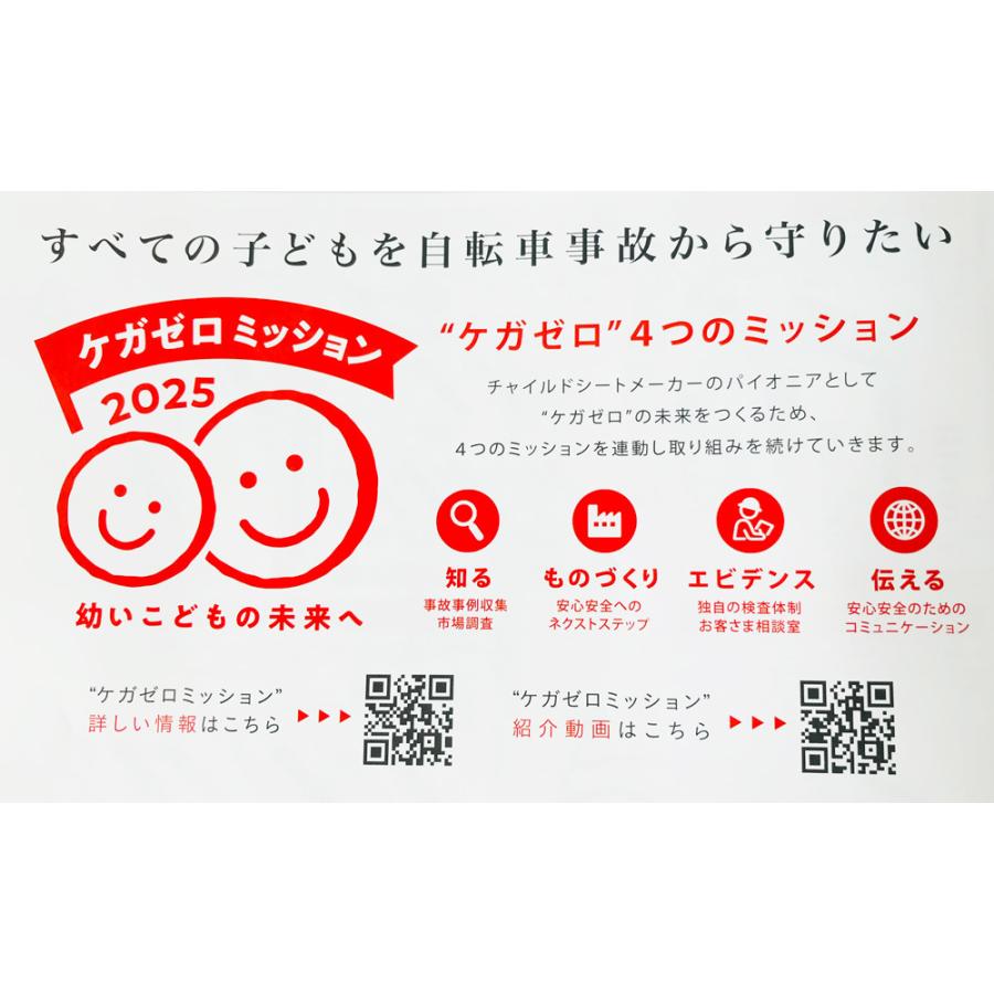 OGK技研（オージーケーギケン） OGK GRANDIAPLUS RBC-017DX PLUS